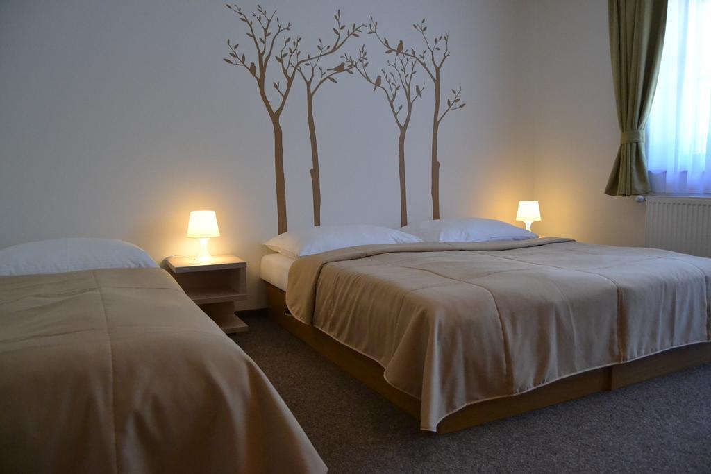 Wellness Hotel Sauna Мала Моравка Номер фото
